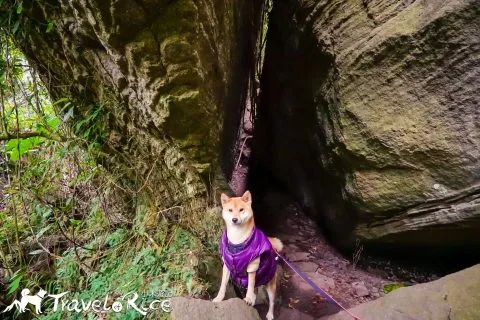 鸞山森林博物館 75 - Travel of Rice 小米遊記 dsc01734