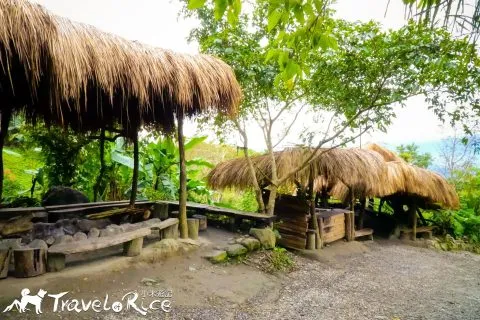 鸞山森林博物館 71 - Travel of Rice 小米遊記 dsc01824