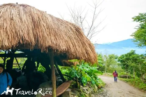 鸞山森林博物館 69 - Travel of Rice 小米遊記 dsc_6632