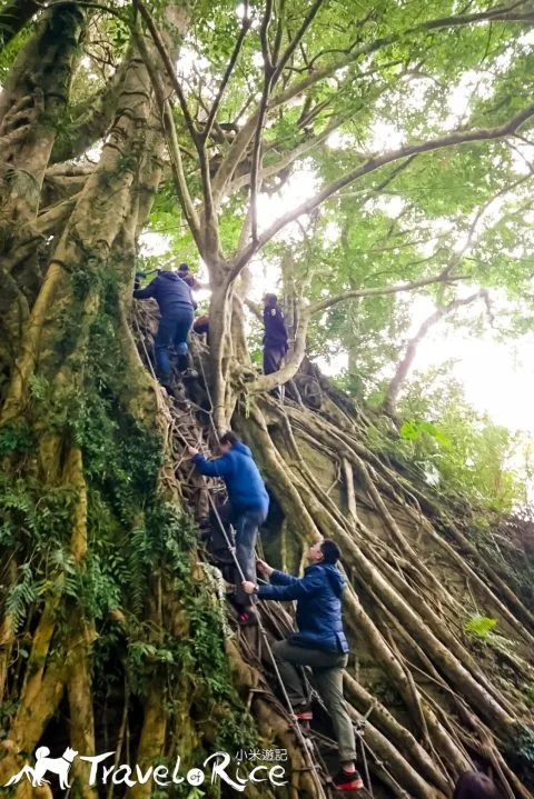 鸞山森林博物館 81 - Travel of Rice 小米遊記 dsc_6637