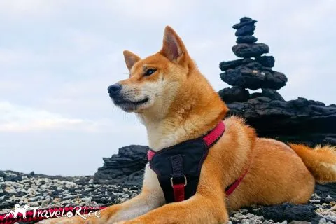 dsc00043