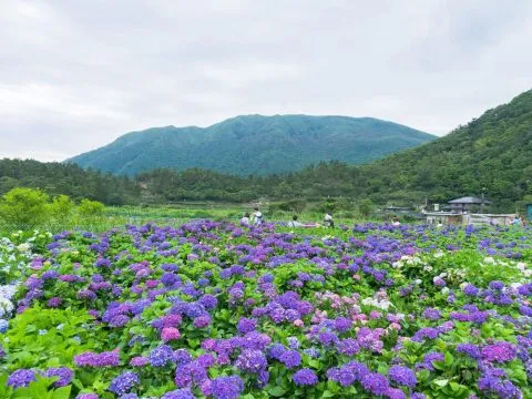 dsc04345