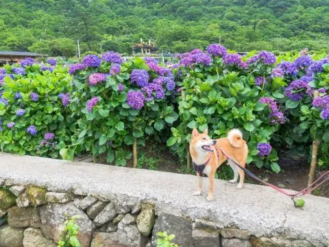 dsc04438
