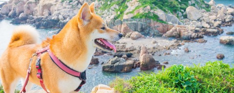 螺山自然步道
