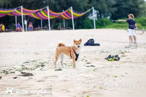 dsc00070-2