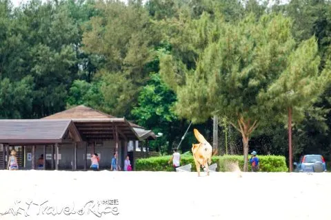 dsc00097-2