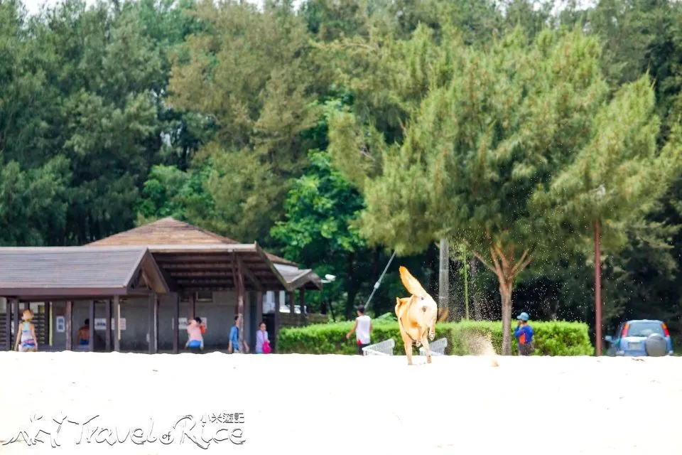 dsc00097-2