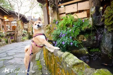 dsc00179