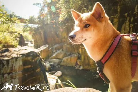 玉門關瀑布 42 - Travel of Rice 小米遊記 dsc00493