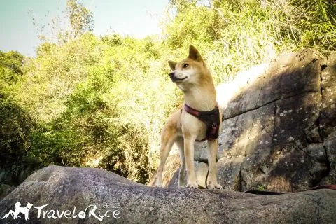 玉門關瀑布 39 - Travel of Rice 小米遊記 dsc00525