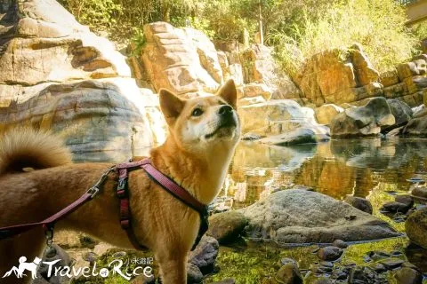 玉門關瀑布 44 - Travel of Rice 小米遊記 dsc00560