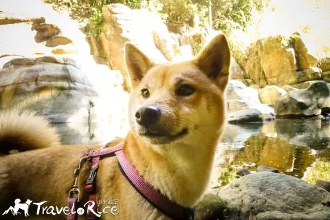 玉門關瀑布 51 - Travel of Rice 小米遊記 dsc00563