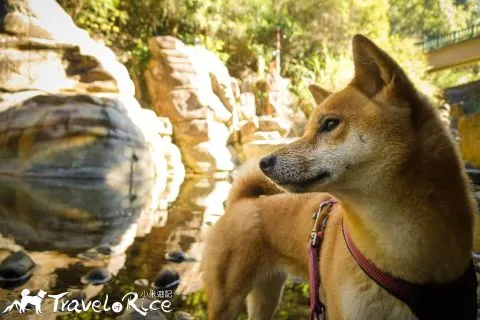 玉門關瀑布 48 - Travel of Rice 小米遊記 dsc00567