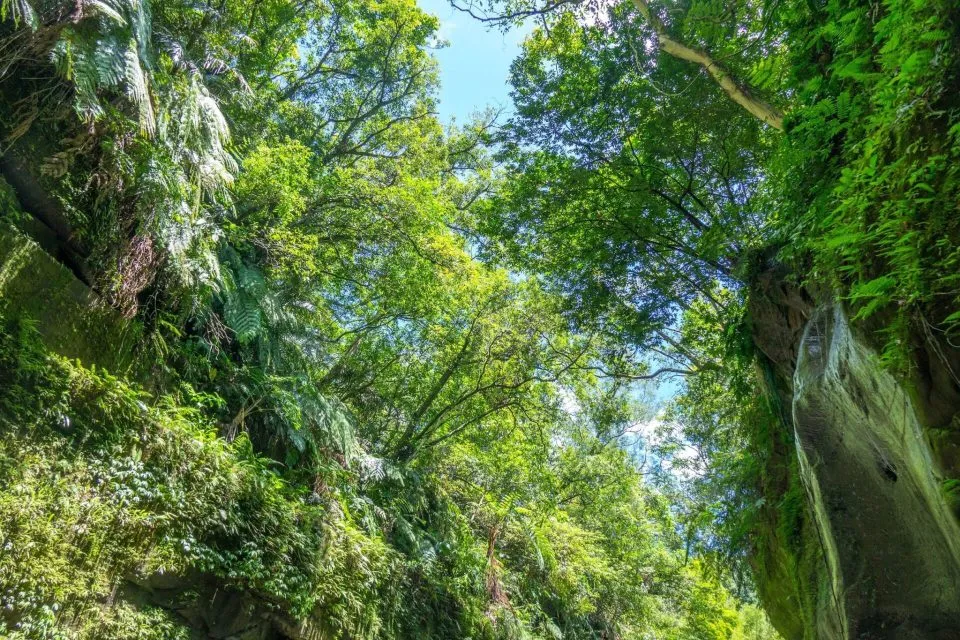 dsc07361
