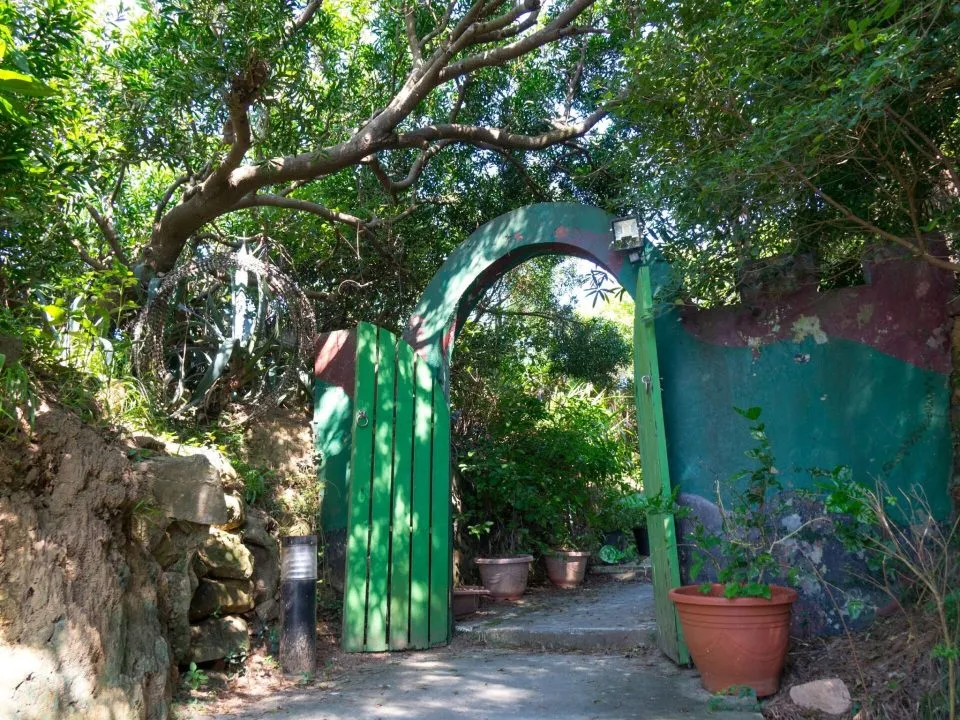 dsc05867