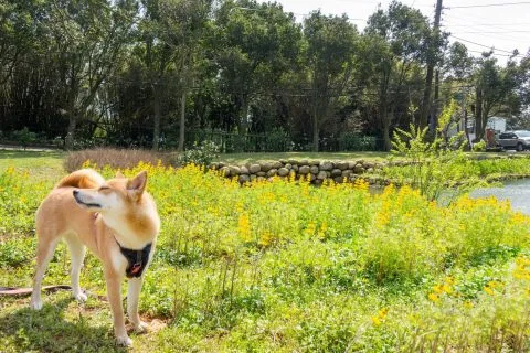 dsc00086-2