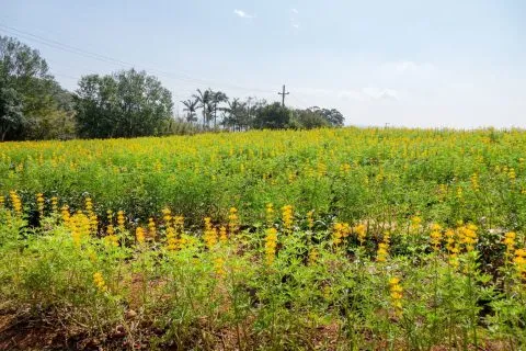 dsc00120-4