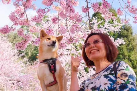 拉拉山恩愛農場 79 - Travel of Rice 小米遊記 dsc00308-3