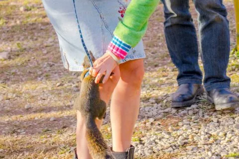 拉拉山恩愛農場 96 - Travel of Rice 小米遊記 dsc00493-2