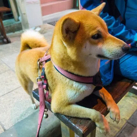 dsc06002