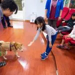 福山國小／新北烏來 26 - Travel of Rice 小米遊記