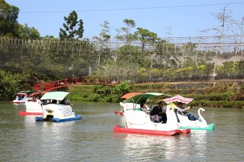 走馬瀨農場 26 - Travel of Rice 小米遊記 走馬瀨農場 24 - Travel of Rice 小米遊記