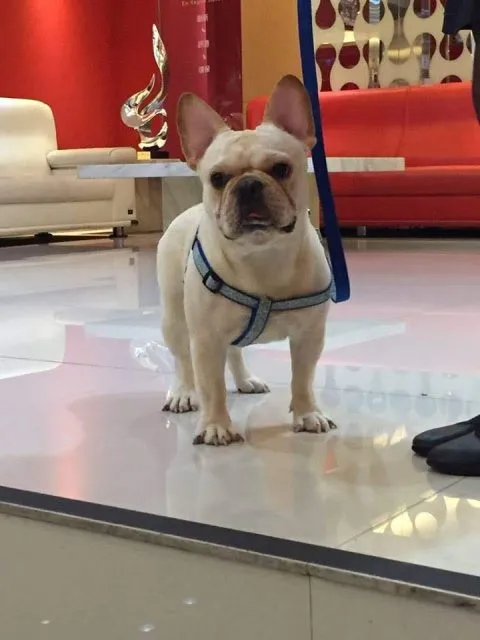 創意_台中_09.jpg
