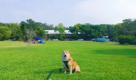 圓山牧場 11 - Travel of Rice 小米遊記 25e5259c259325e525b125b125e7258925a725e525a025b4_25e8258b259725e625a02597_02-1