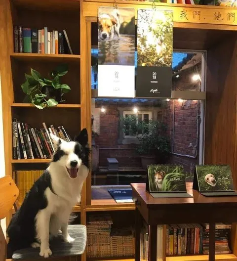 我們。他們 10 - Travel of Rice 小米遊記 25e62588259125e52580259125e425bb259625e525802591_25e625a1258325e5259c2592_02-1