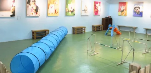 25e6259d25b125e625a325ae25e525b125b125e6259e2597_25e625a1258325e5259c2592_09