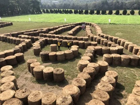 走馬瀨農場 29 - Travel of Rice 小米遊記 走馬瀨農場 27 - Travel of Rice 小米遊記