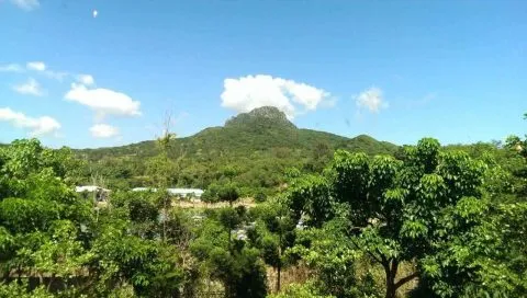 4378_15.jpg