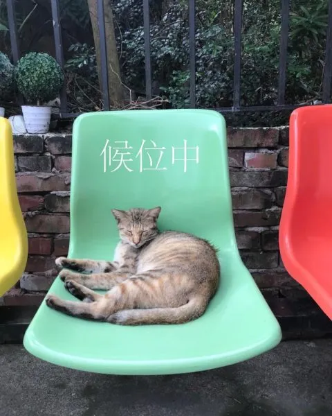 丑咖啡 BU-SU café(大溪店) 28 - Travel of Rice 小米遊記