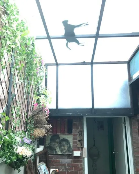 丑咖啡 BU-SU café(大溪店) 44 - Travel of Rice 小米遊記