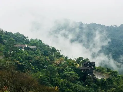 花岩山林 30 - Travel of Rice 小米遊記