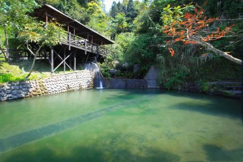 花岩山林 32 - Travel of Rice 小米遊記
