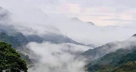 花岩山林 51 - Travel of Rice 小米遊記