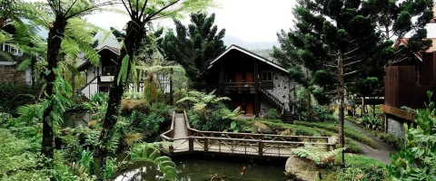 溪頭新明山木屋渡假村 29 - Travel of Rice 小米遊記