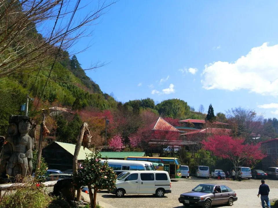 司馬庫斯部落 11 - Travel of Rice 小米遊記 cimg1414