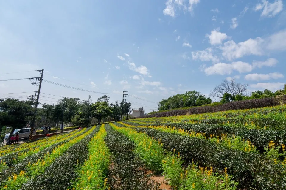三水水土保持戶外教室 10 - Travel of Rice 小米遊記 三水水土保持戶外教室 9 - Travel of Rice 小米遊記