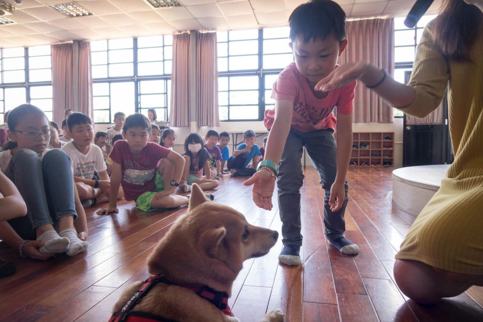 在如何和狗狗互動中，我們也成功的讓一些害怕狗狗的小朋友們不再恐懼。