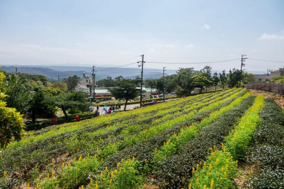 三水水土保持戶外教室 11 - Travel of Rice 小米遊記 三水水土保持戶外教室 10 - Travel of Rice 小米遊記