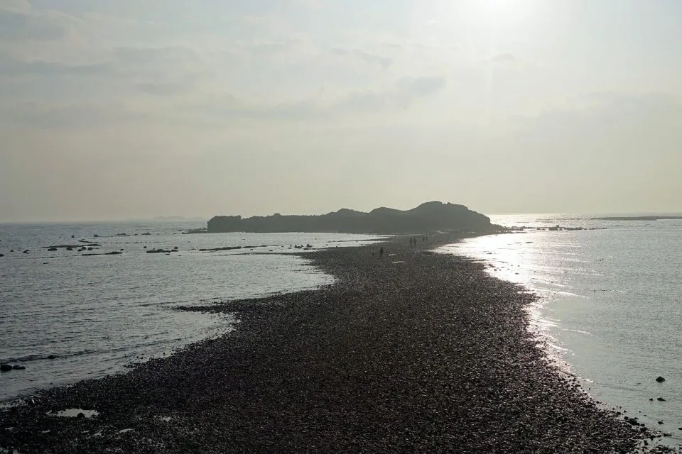 DSC00065.JPG