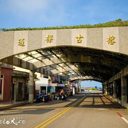 通樑古榕 1 - Travel of Rice 小米遊記