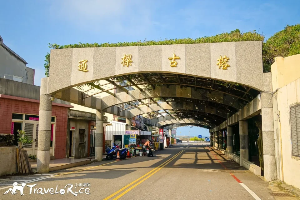 通樑古榕 31 - Travel of Rice 小米遊記 通樑古榕 3 - Travel of Rice 小米遊記