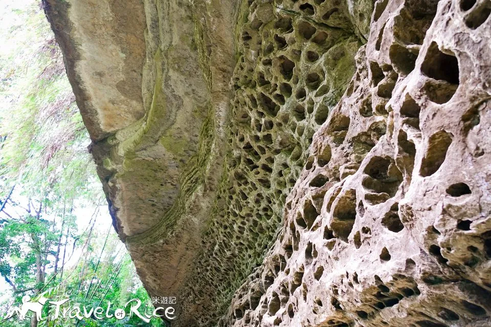 瑞里千年蝙蝠洞 18 - Travel of Rice 小米遊記
