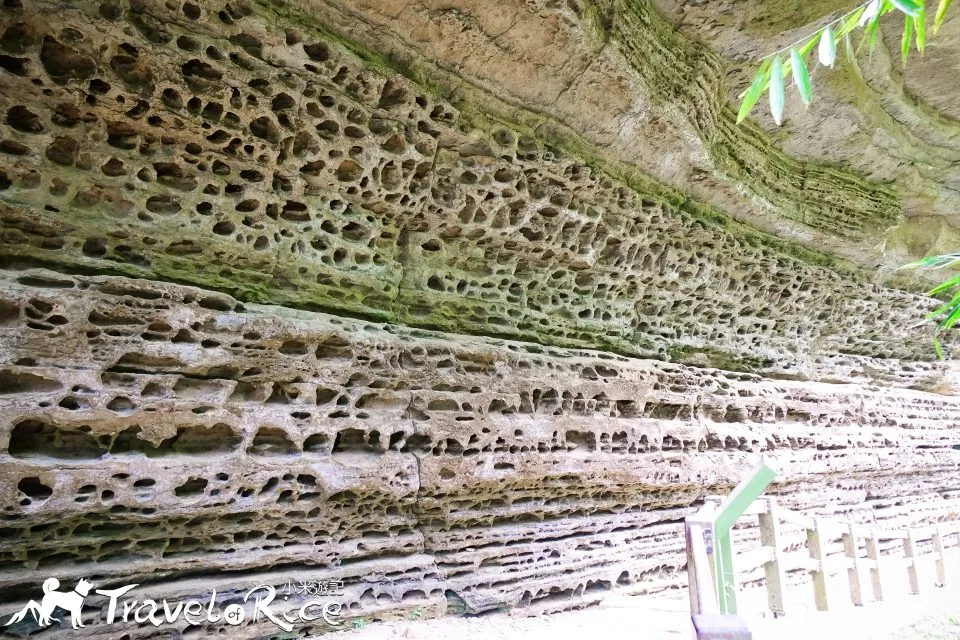 瑞里千年蝙蝠洞 19 - Travel of Rice 小米遊記