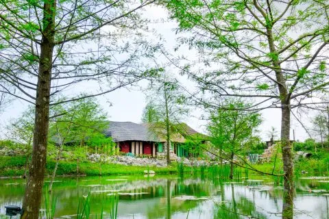 Mr.Sam-山姆先生咖啡館 16 - Travel of Rice 小米遊記