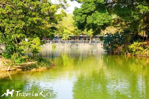 麗池 16 - Travel of Rice 小米遊記