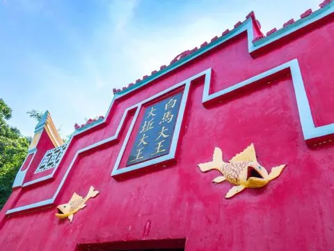 dsc05631-1